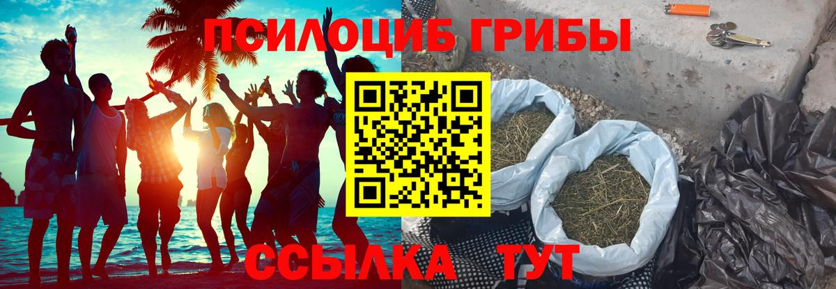 Галлюциногенные грибы прущие грибы  Вход с VPN  Советская Гавань  Галлюциногенные грибы GOLDEN TEACHER 